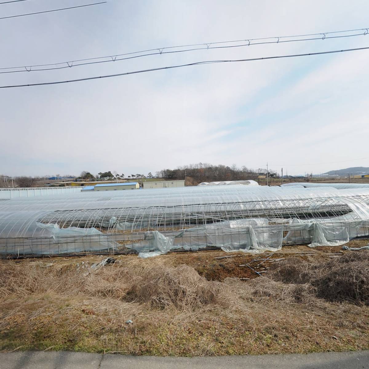 예산농원_3