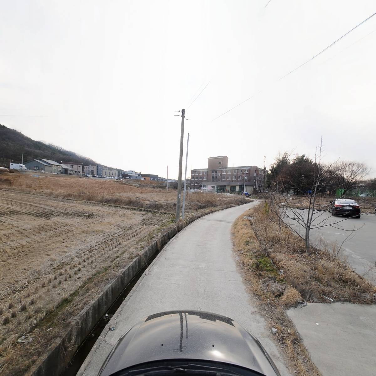 국제기구세계녹색기후기구생명존중본부 주식회사_4