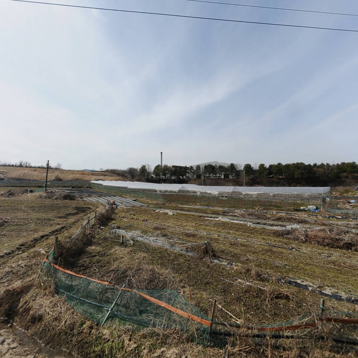 에스에스바이오팜 주식회사 (SSBIOPHARM CO.LTD)