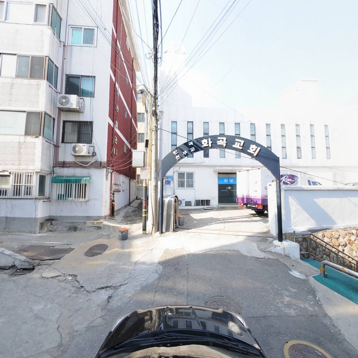 푸릇_4