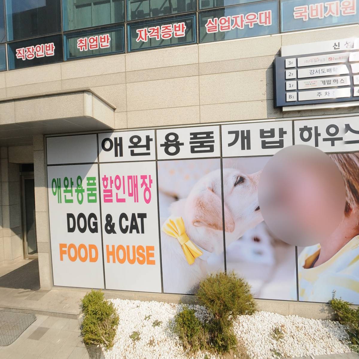 강서도배학원