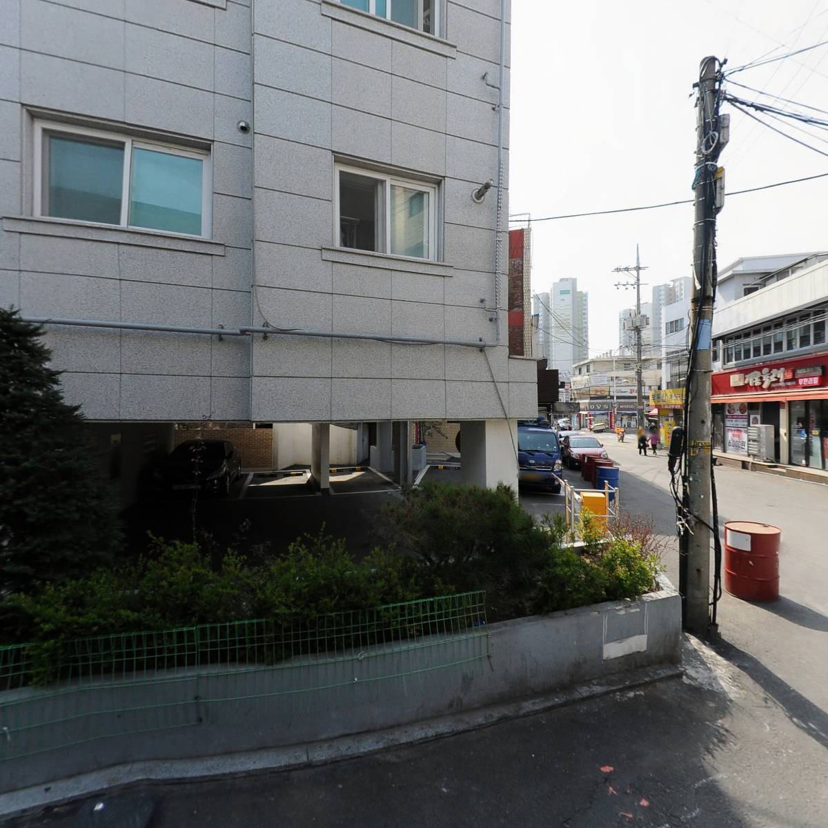 쇼플