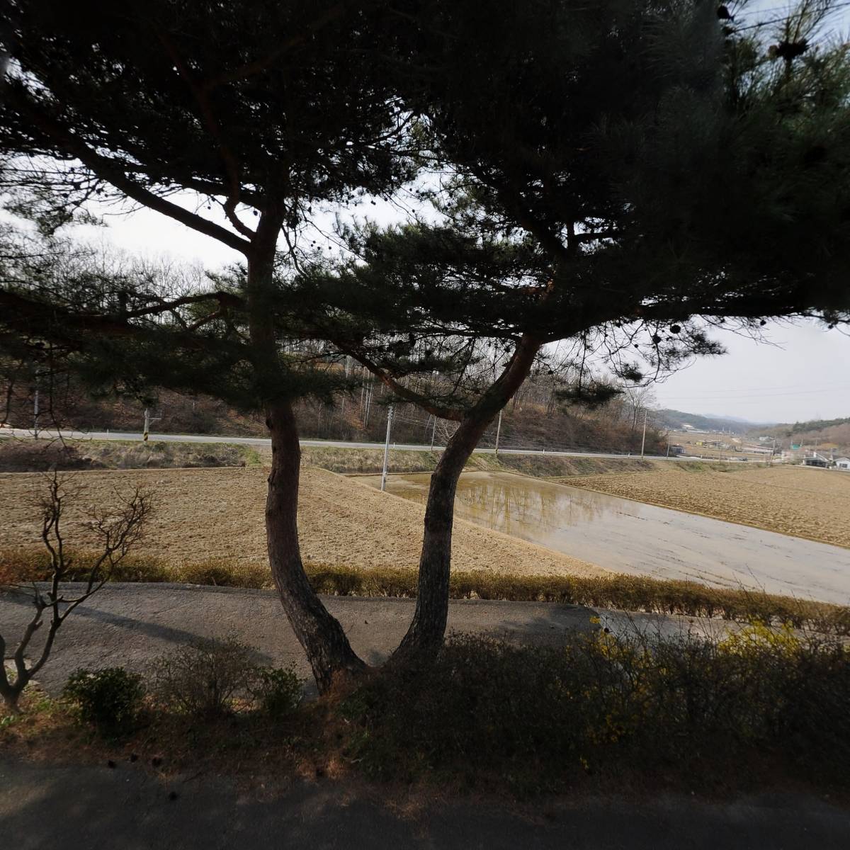 기독교한국침례회 신광교회_3