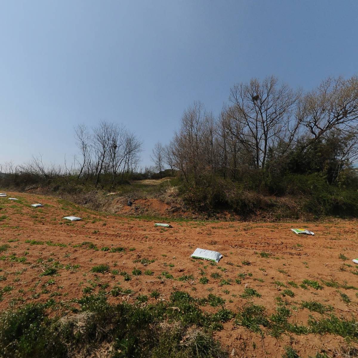 예덕초등학교총동창회