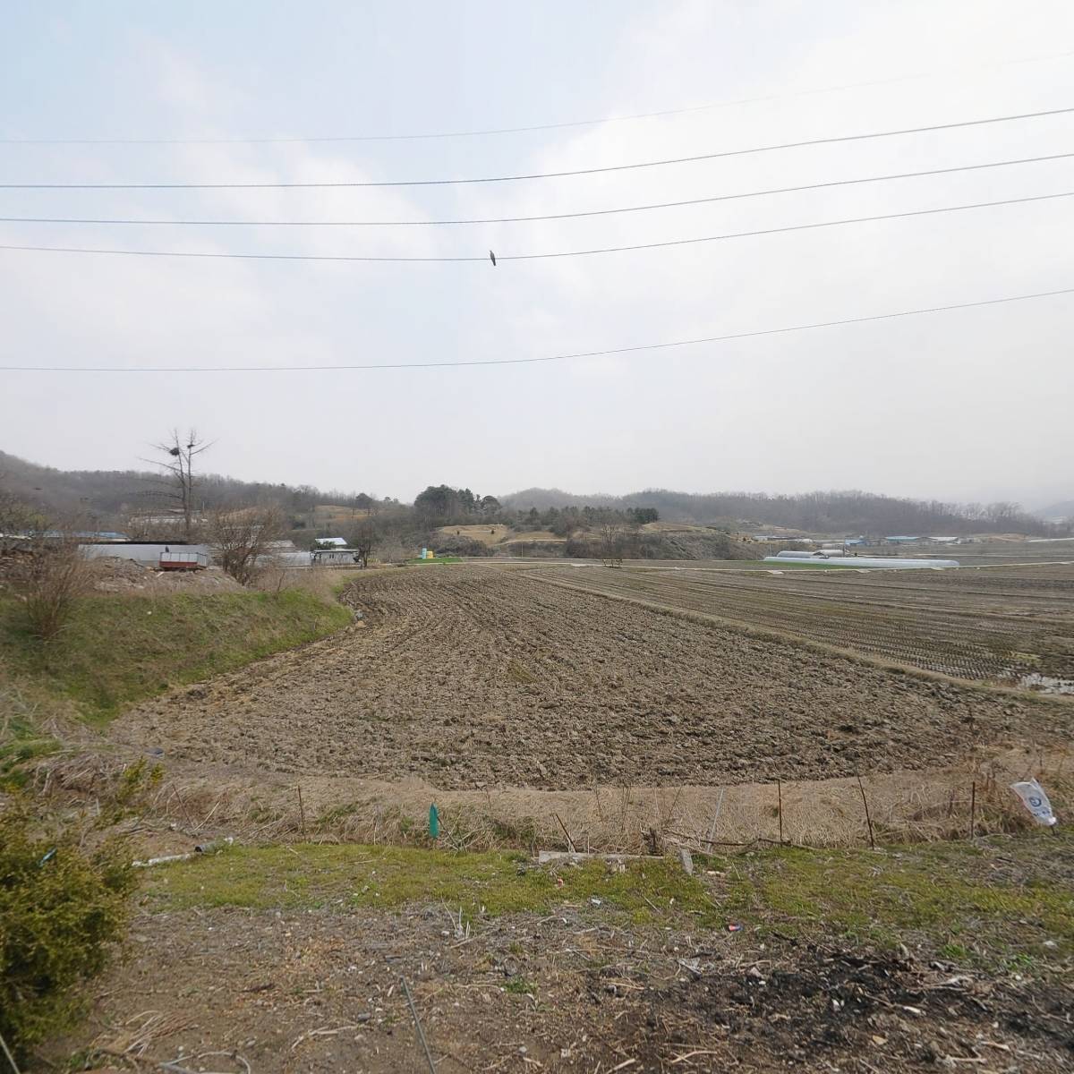 오뚜기농장(성실제외1명)