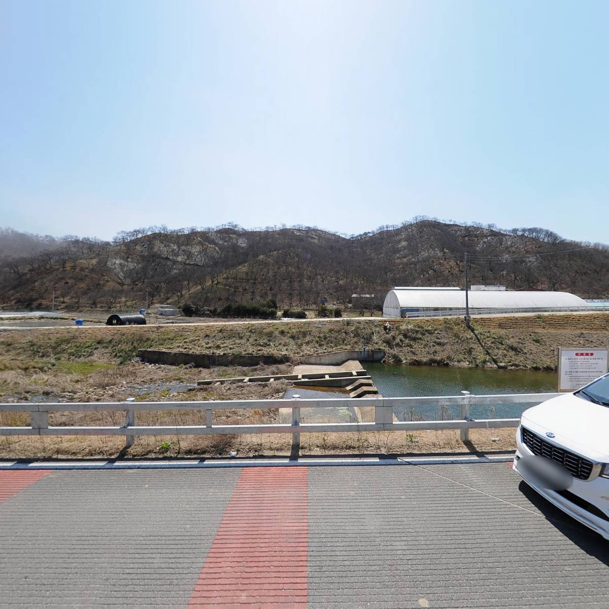 정안햇살다육_3