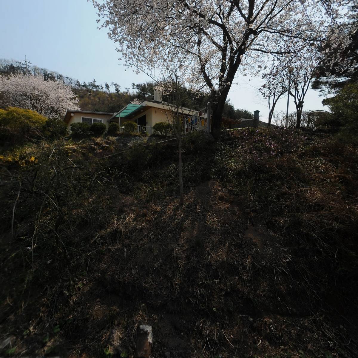 심천식품기술컨설팅