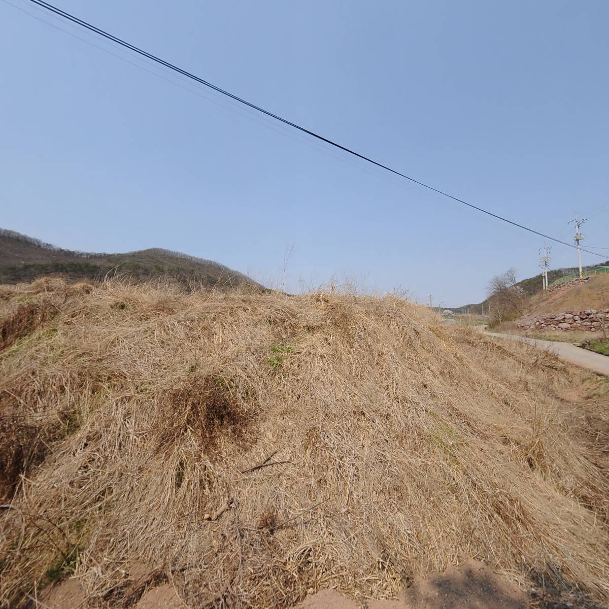 심천식품기술컨설팅_3