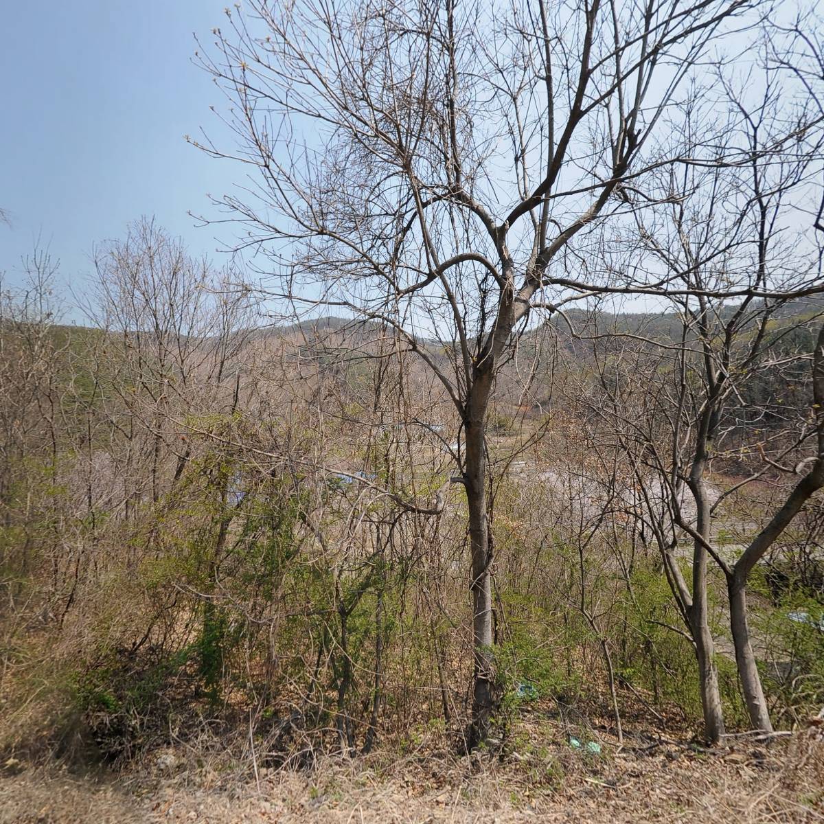 주식회사 에스제이로지스틱스