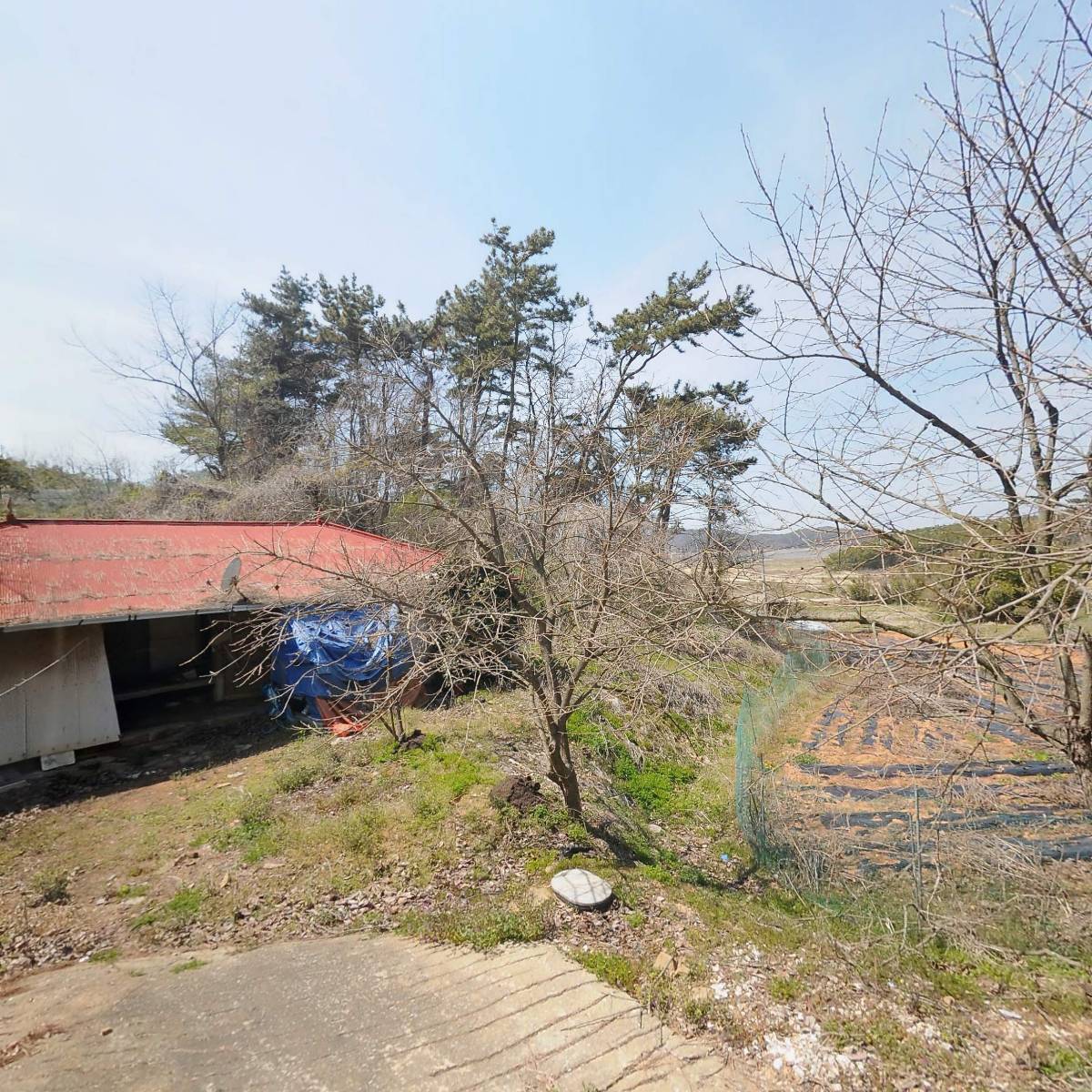정글펜션