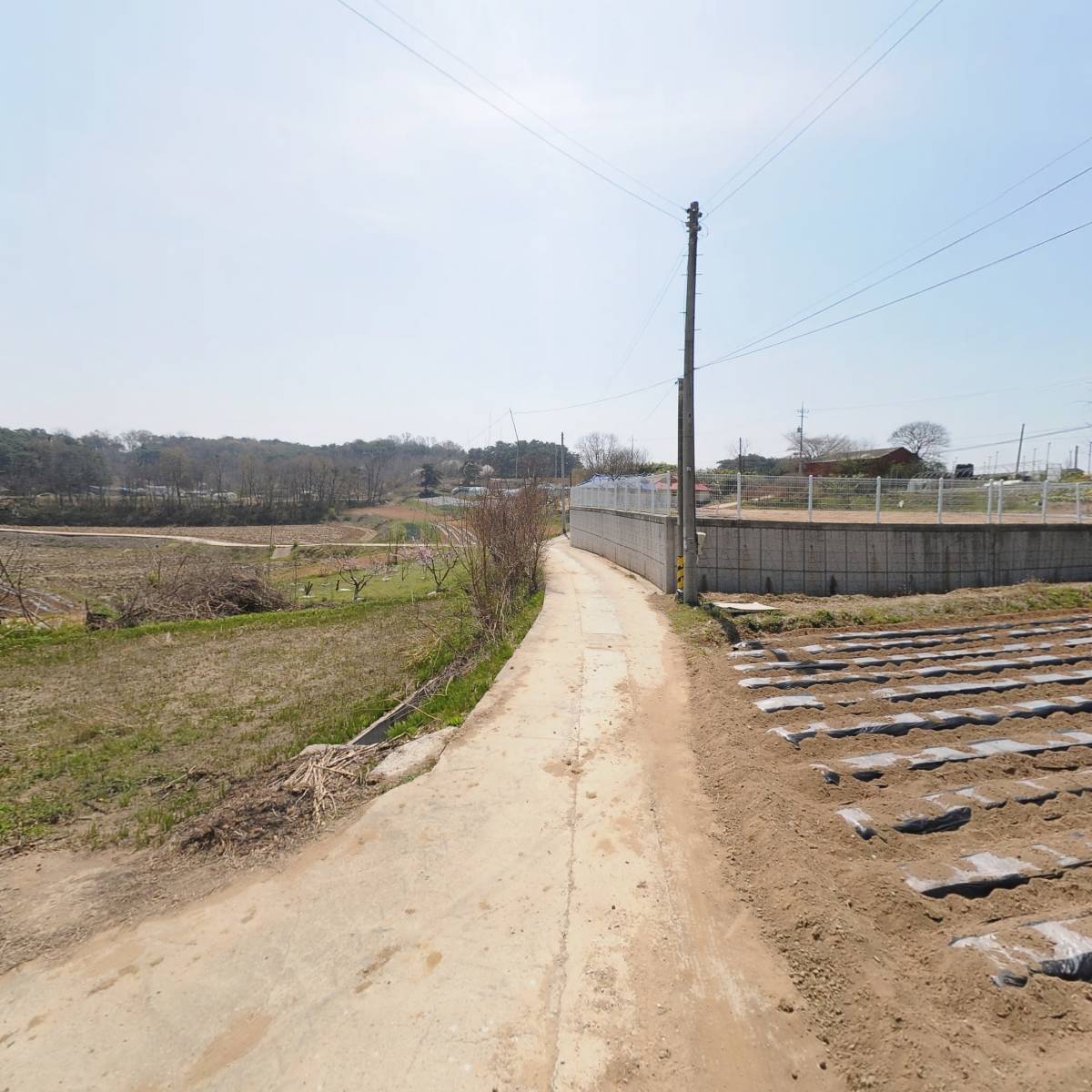 당산2리실지선어민영농조합법인_2