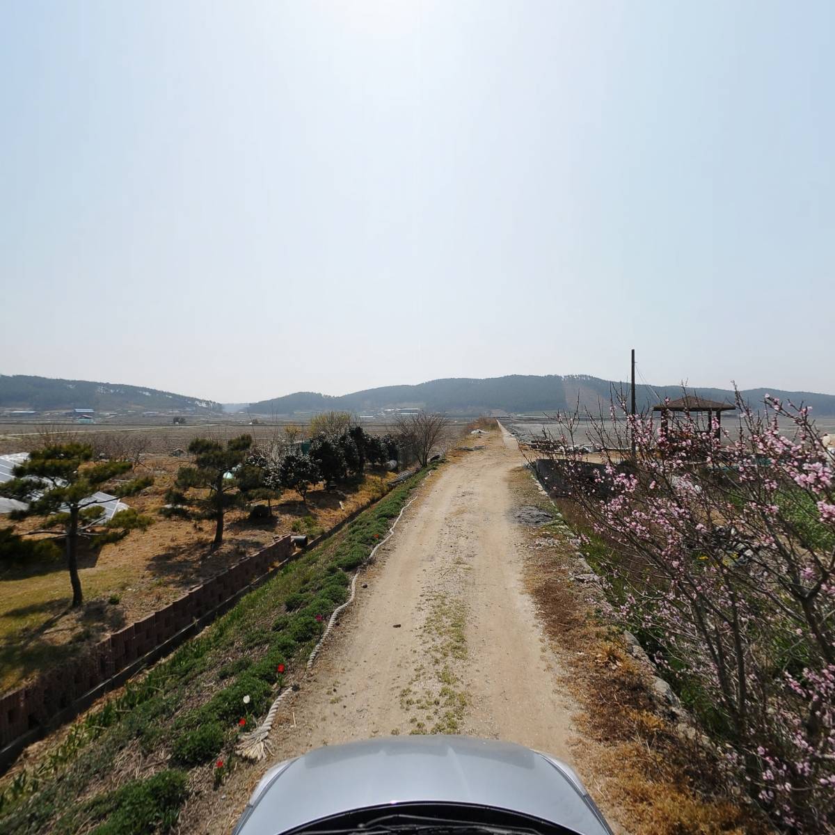 사단법인 전국마늘생산자협회 태안군지회_4