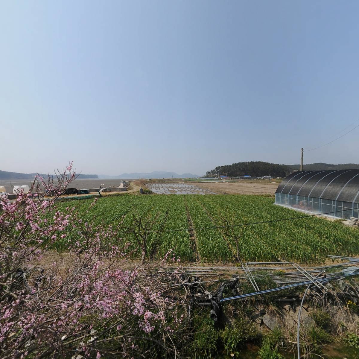 사단법인 전국마늘생산자협회 태안군지회