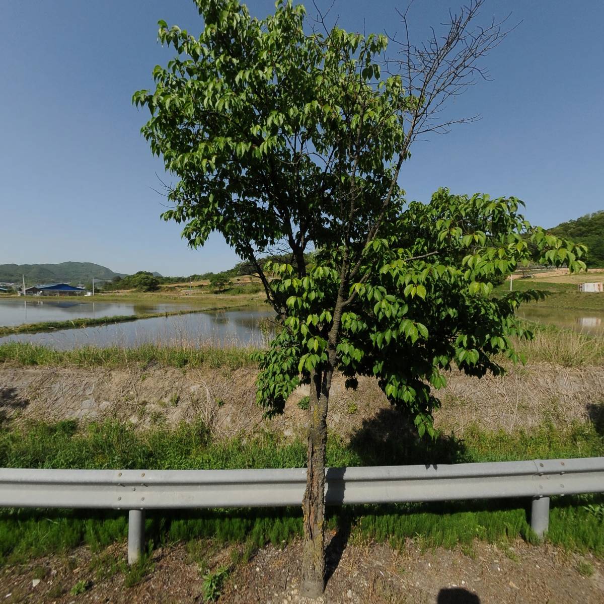 (주)덕산식품 증평공장