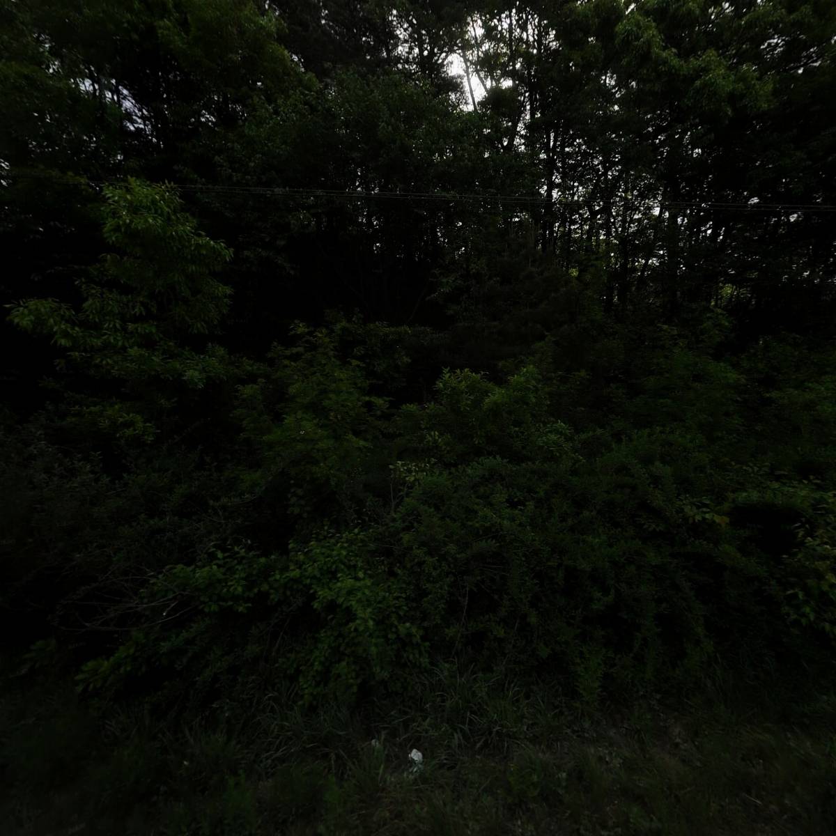 케이피엠