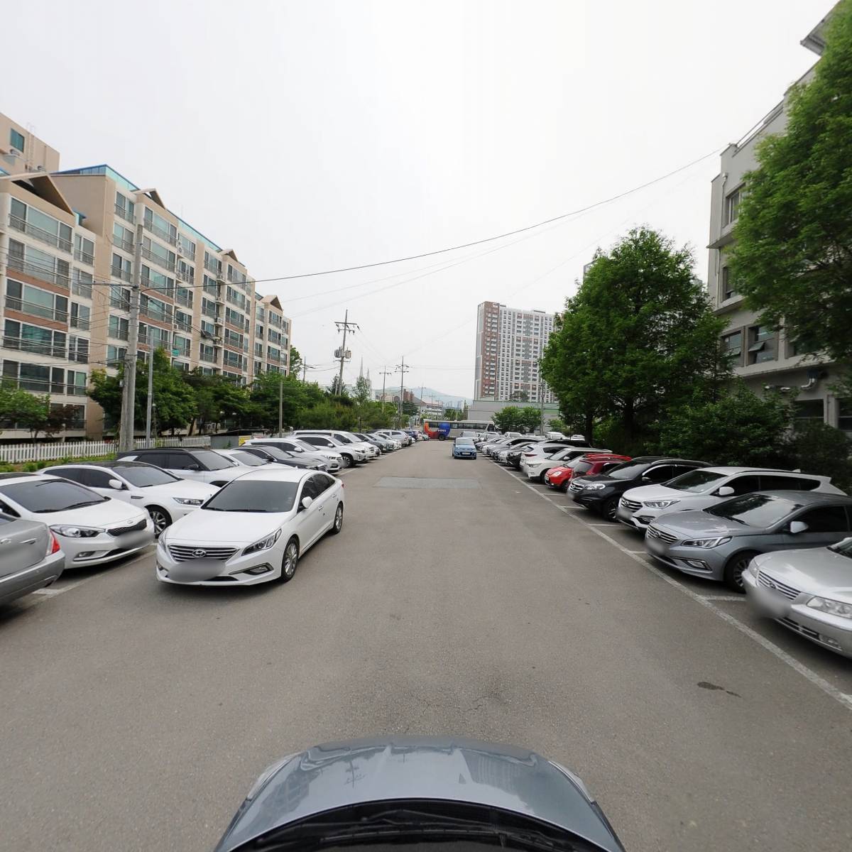 충청북도체육회_4