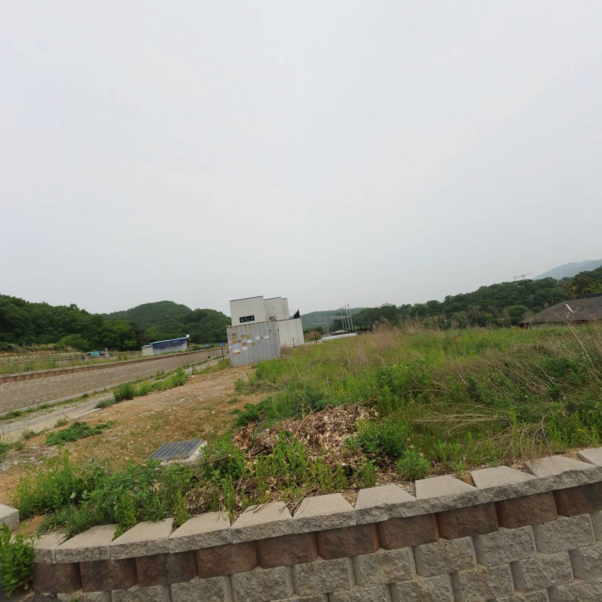 랜드업
