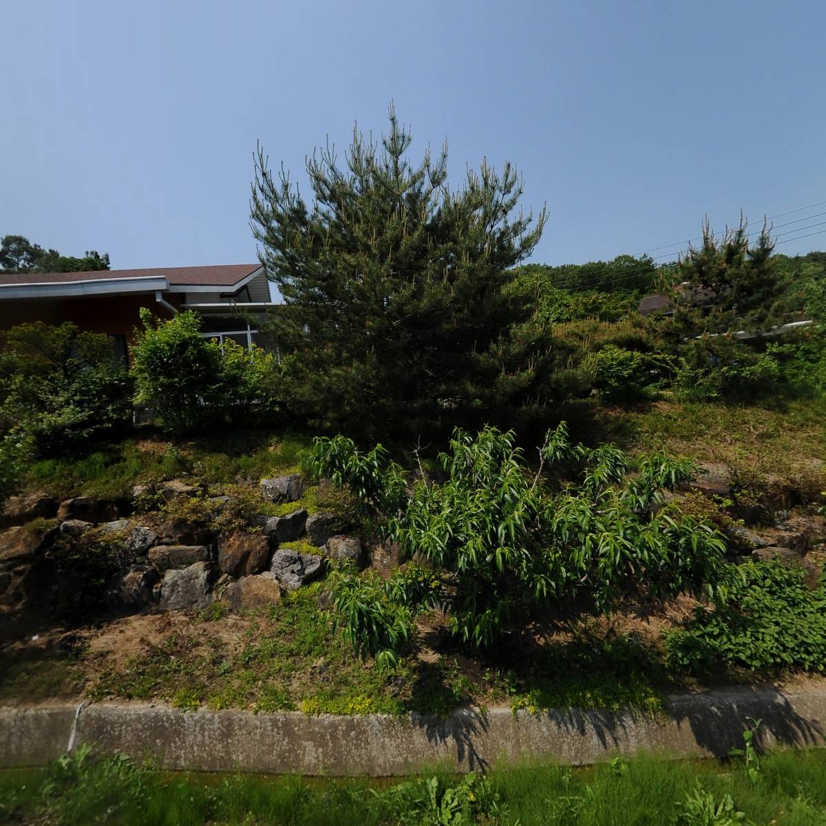 만디식품
