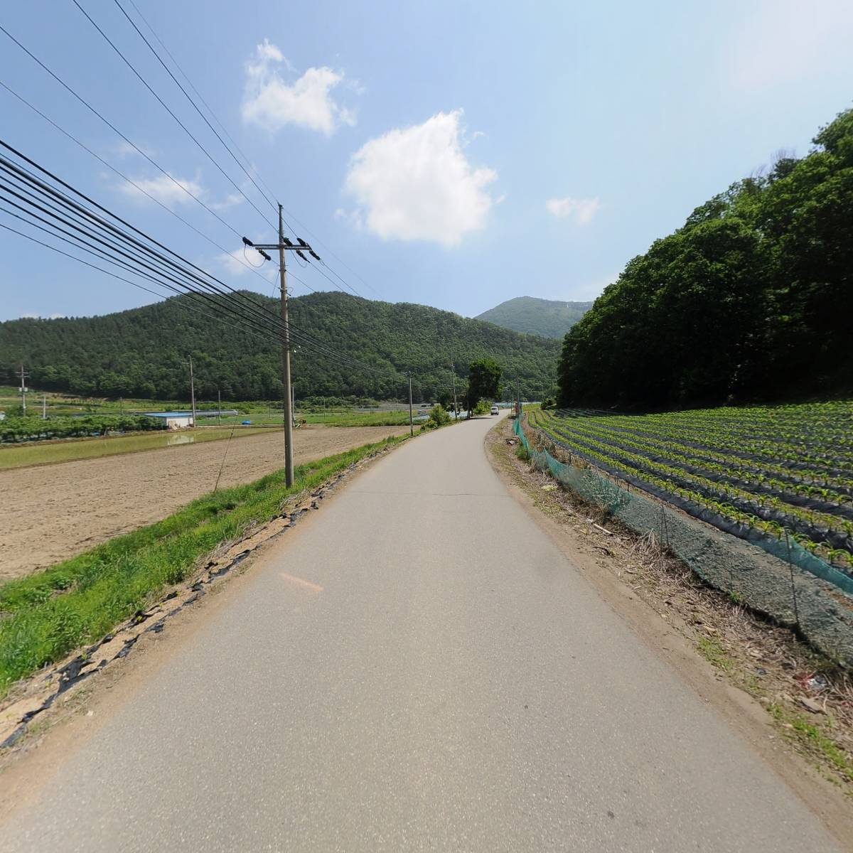 괴산자연푸드_2