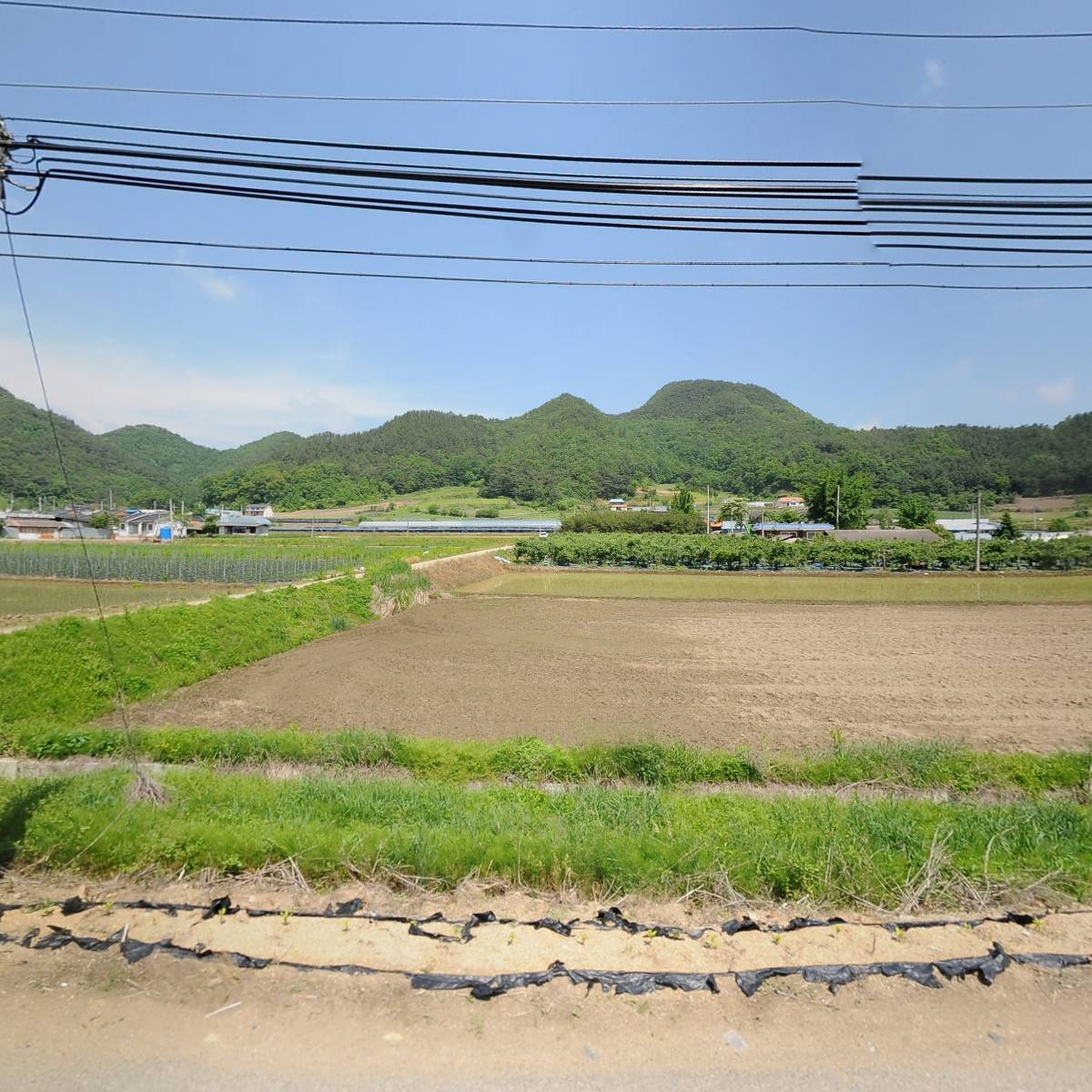 괴산자연푸드