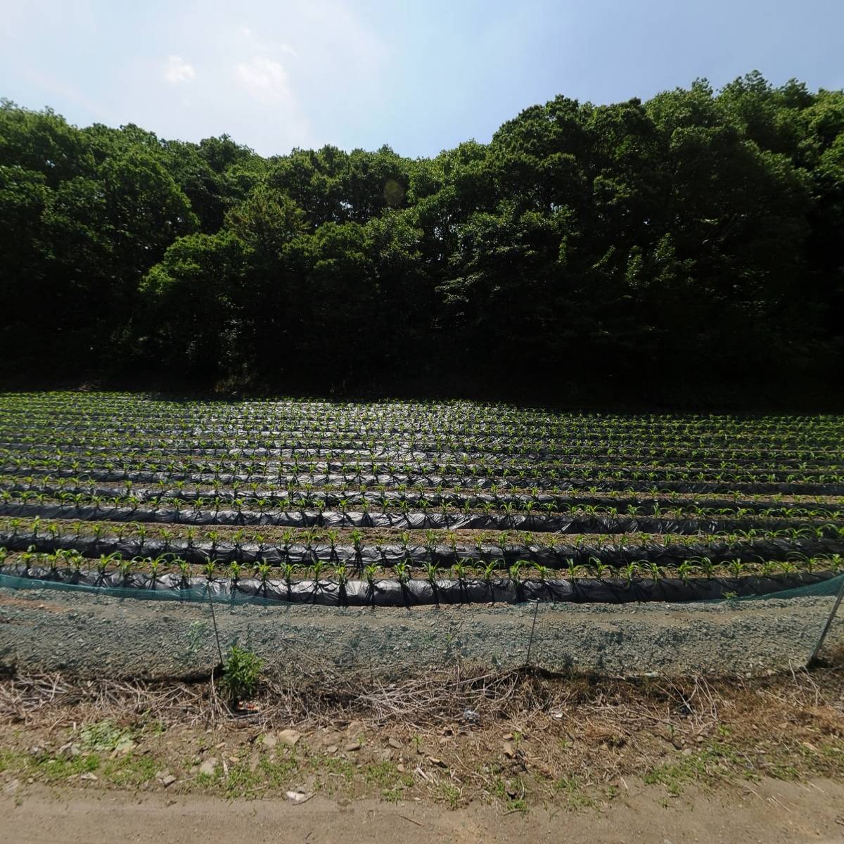 괴산자연푸드_3