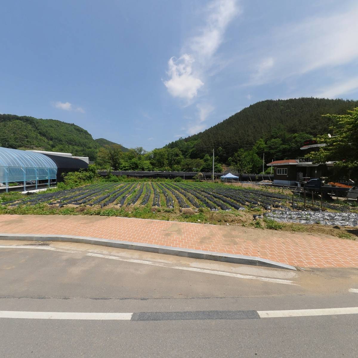 솔밭짬뽕_3