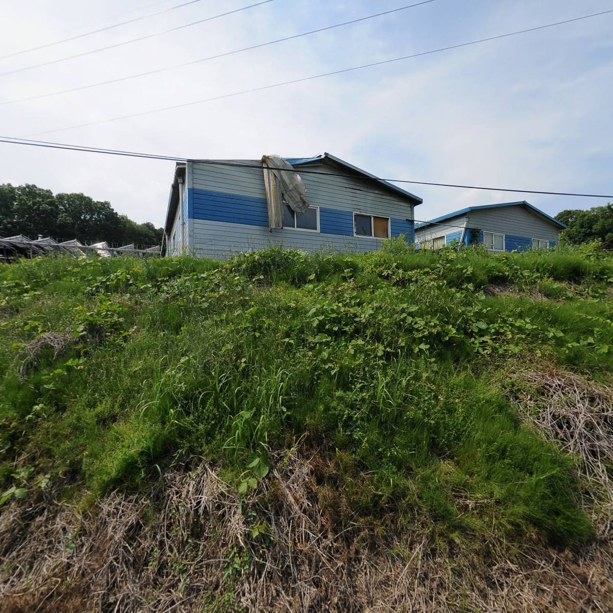 (주)타임통상
