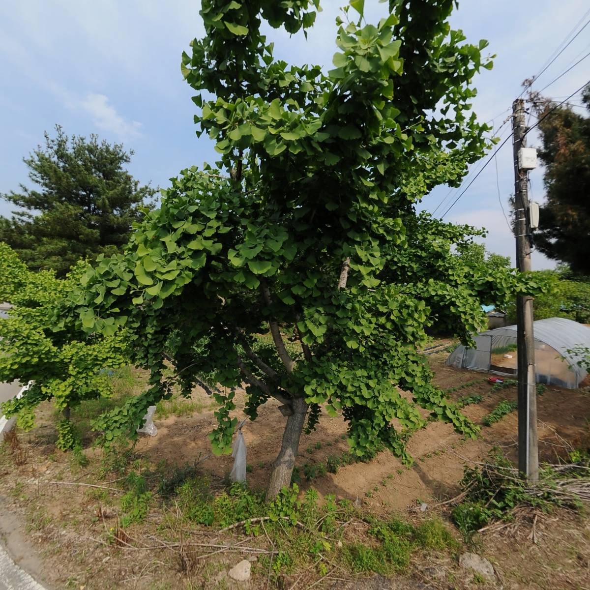 전주이씨 수도군파 취산정 종회_3