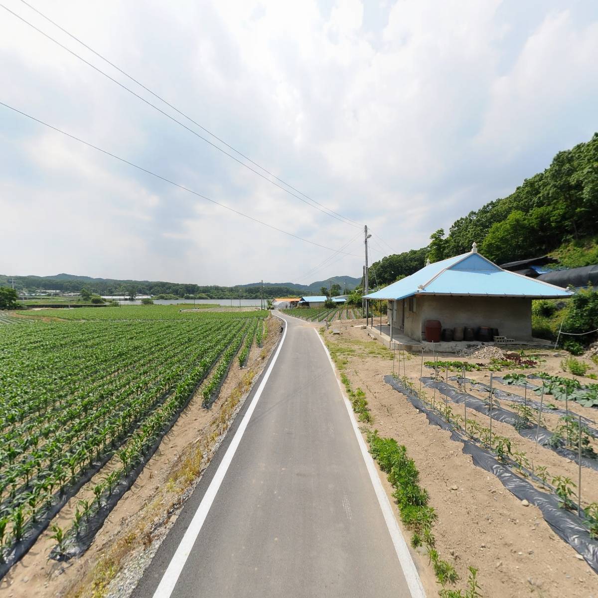 한국문인협회 충북 괴산지부_2