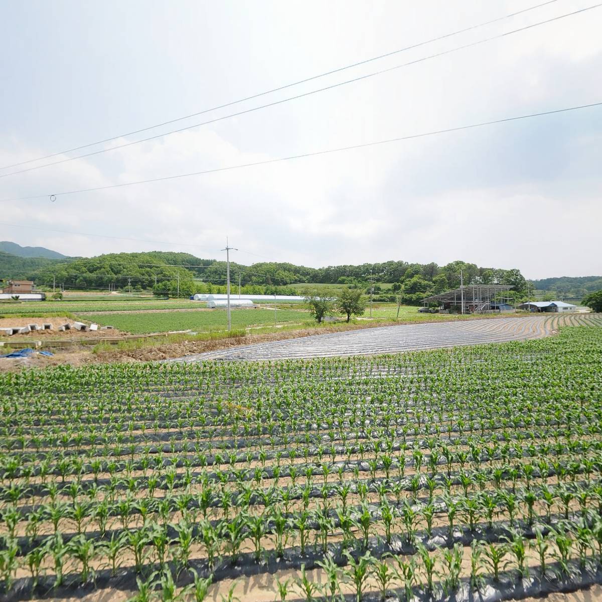 한국문인협회 충북 괴산지부