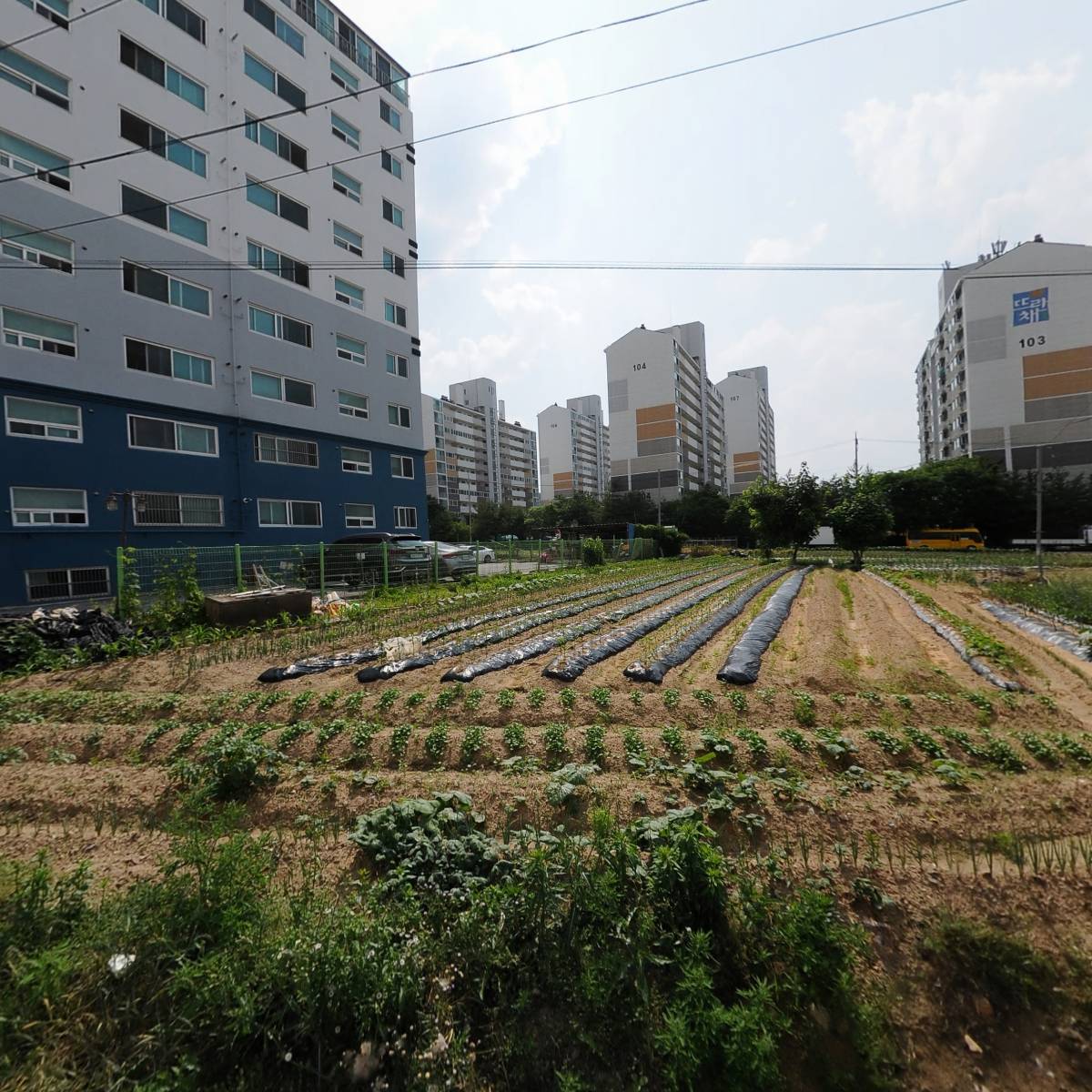 바다양푼이동태탕진천점_3