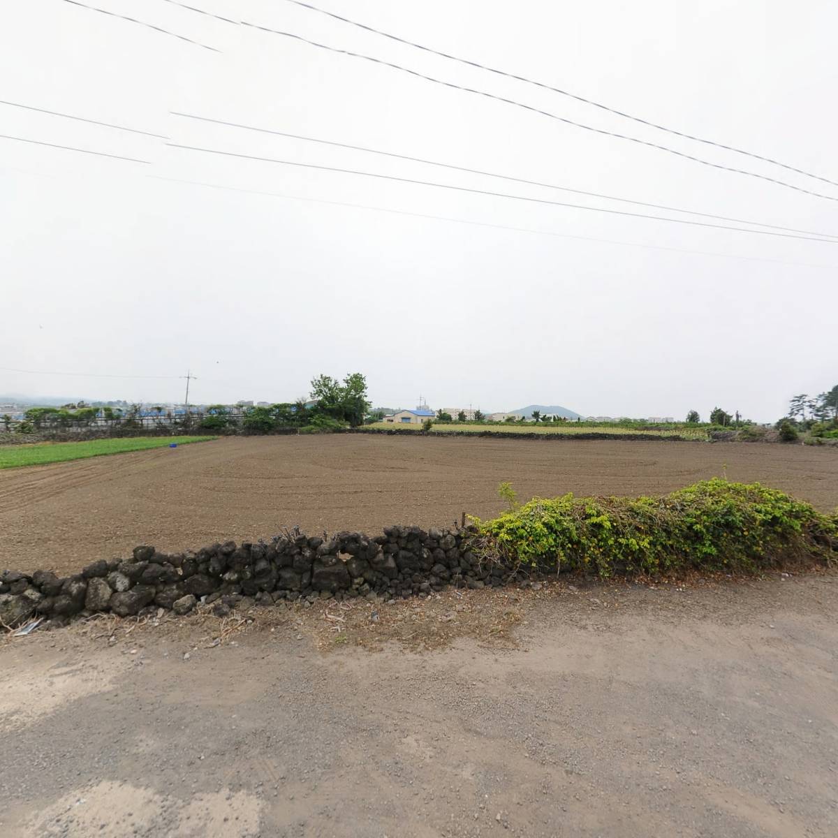 한일태권도본관_3