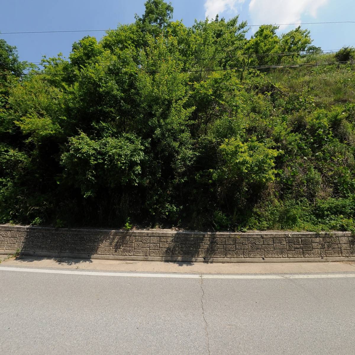 새재농원_3