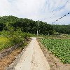 산따라꿀따러 협동조합_2
