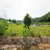 산따라꿀따러 협동조합