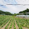 산따라꿀따러 협동조합_3