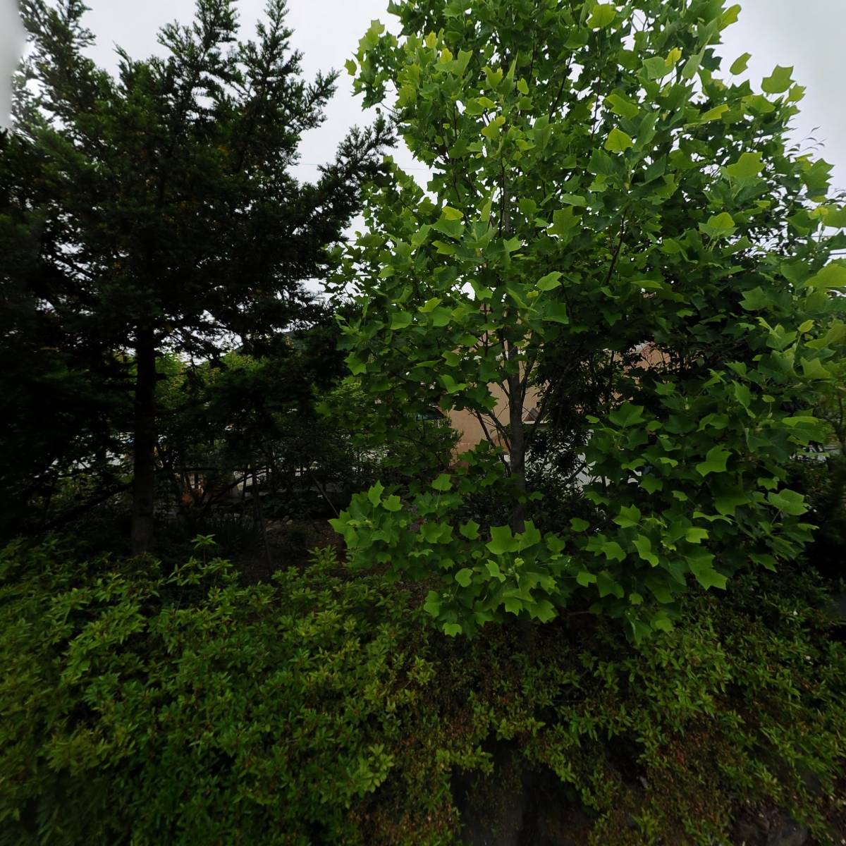 청천인테리어(미현)