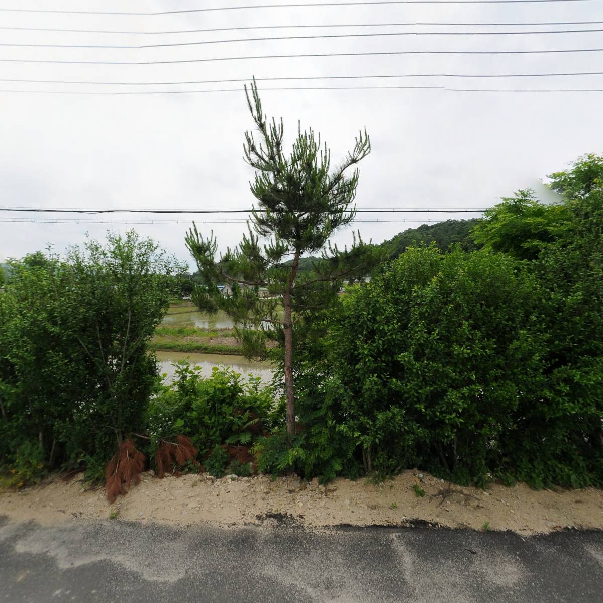 (주)상신