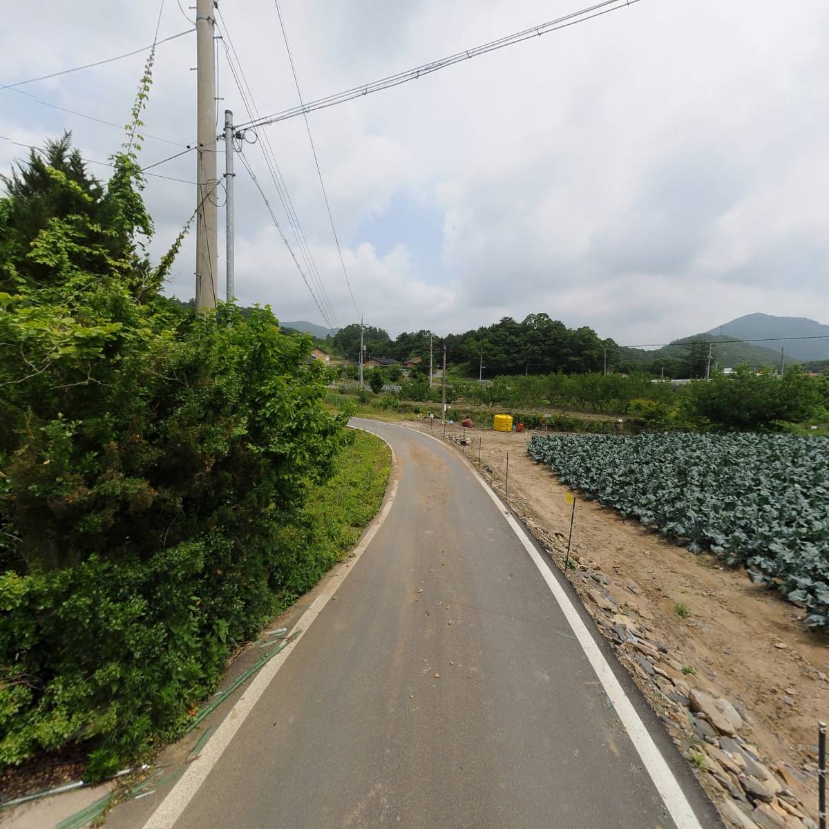 영농조합법인 용담_2