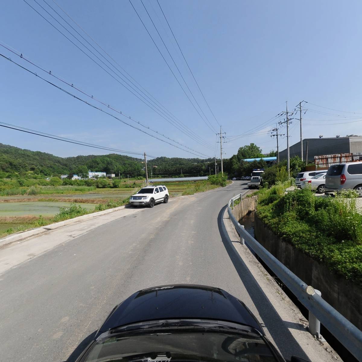 그린팜스_4