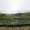 청년협동조합자라_3