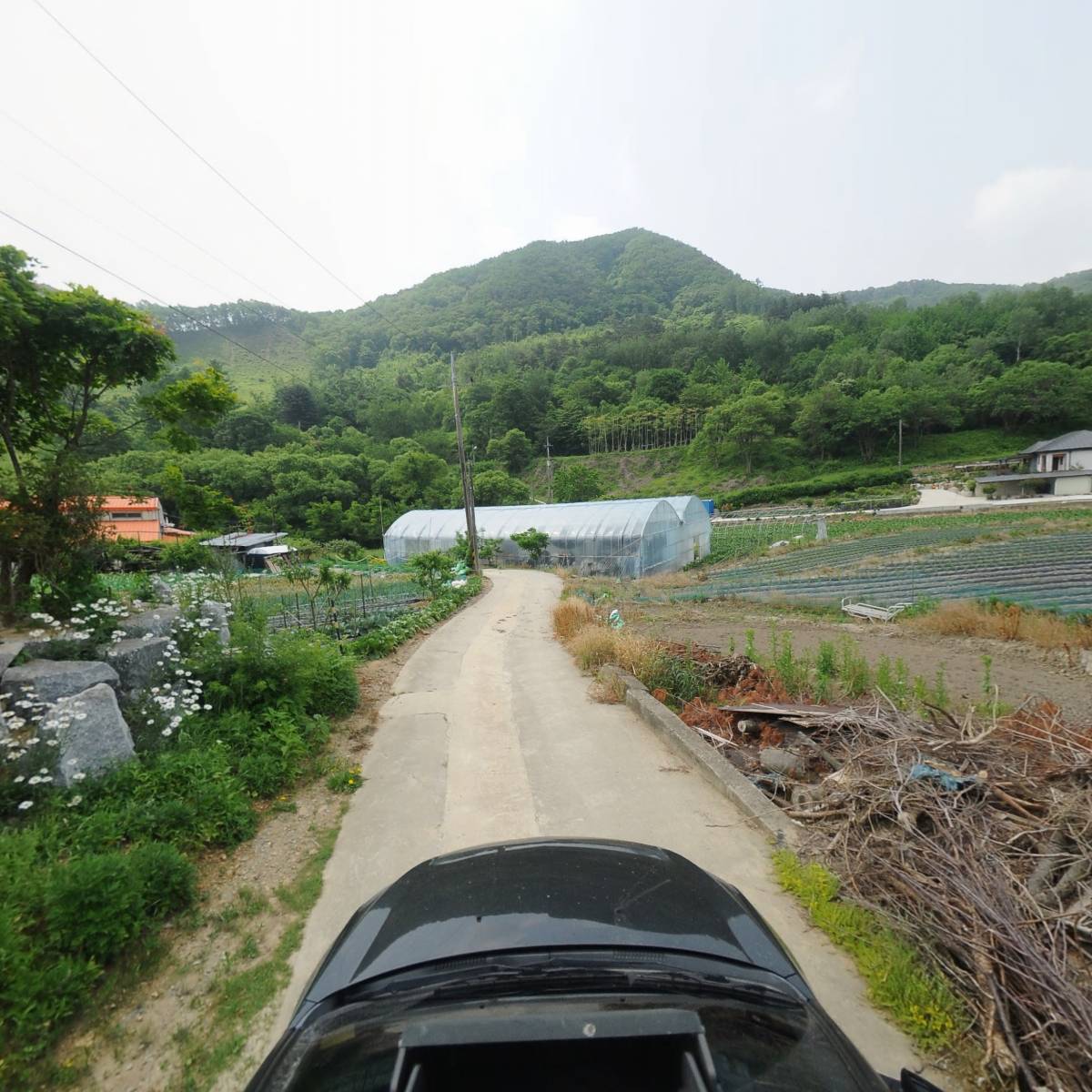 효성자연농원_4