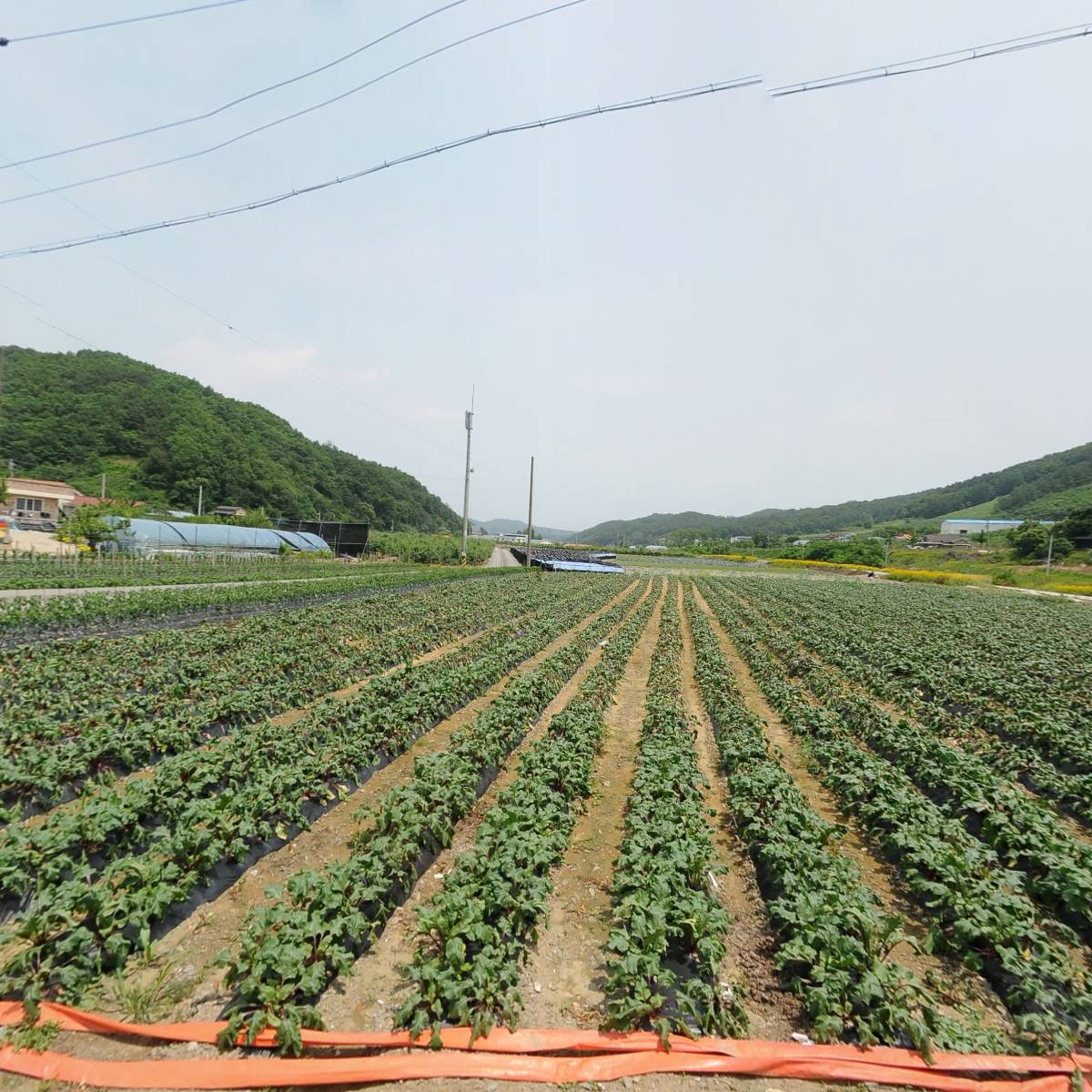 문광면신기1구새마을회