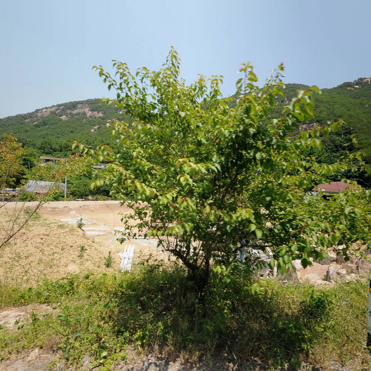 카페322