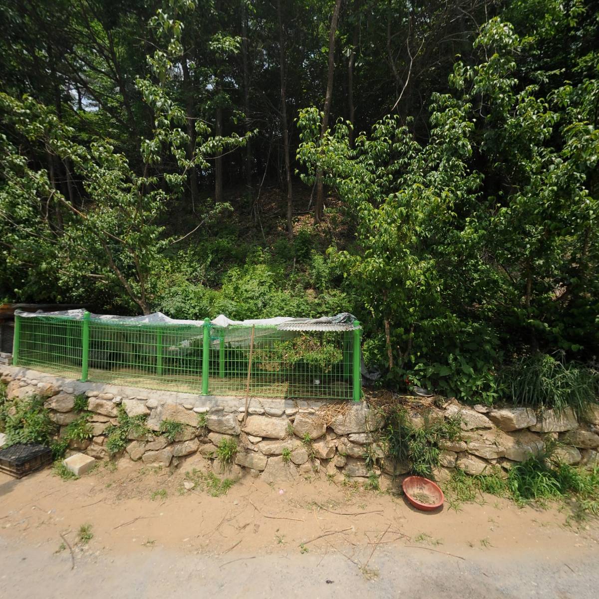 산상.낙원야영장