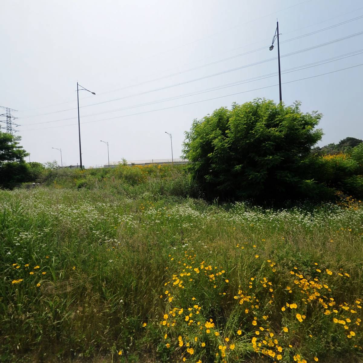 （주）영진화학