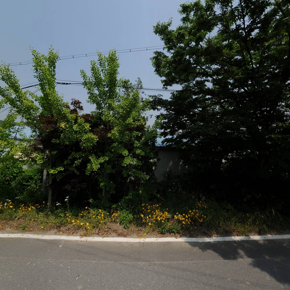 （주）영진화학_3