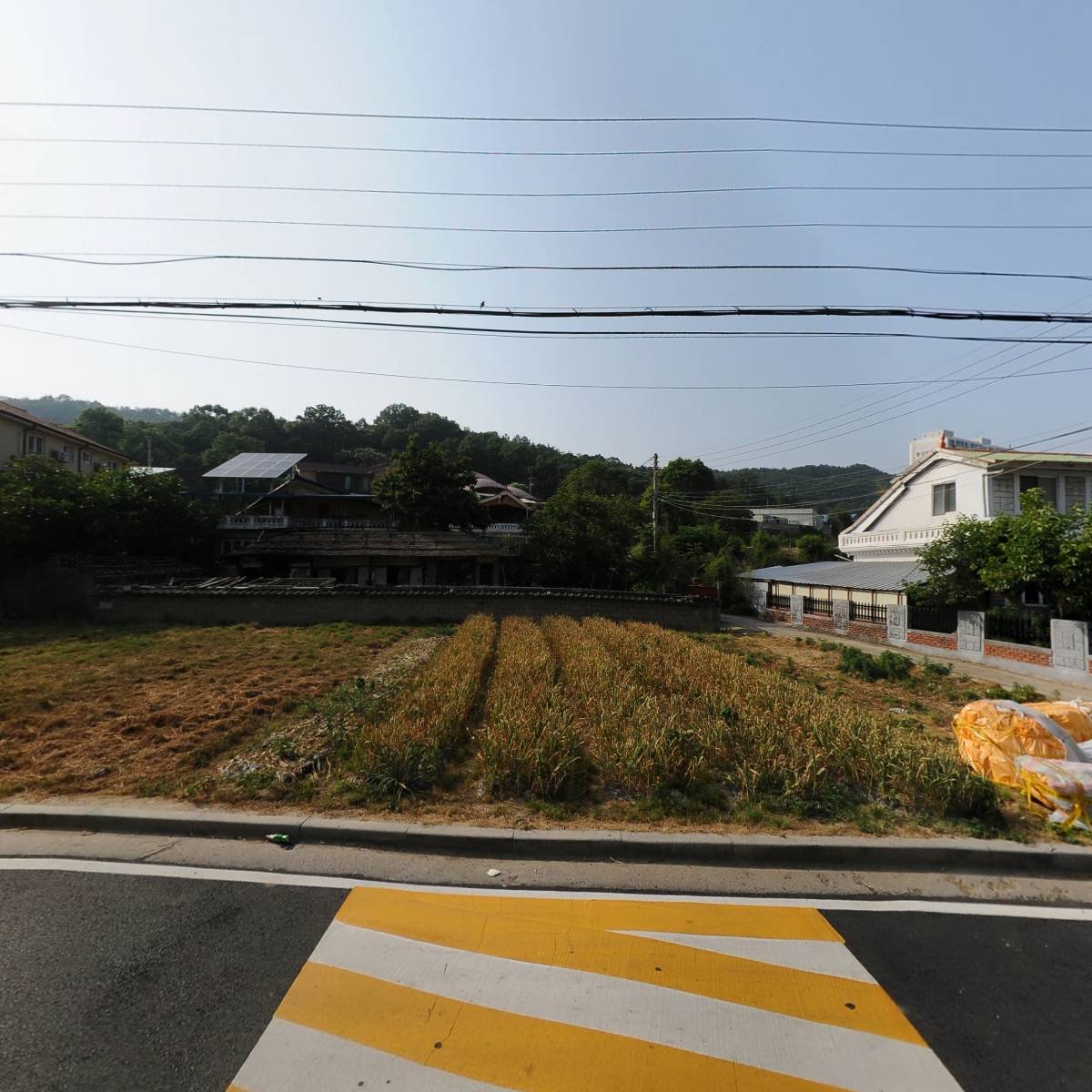 죽향초등학교_3