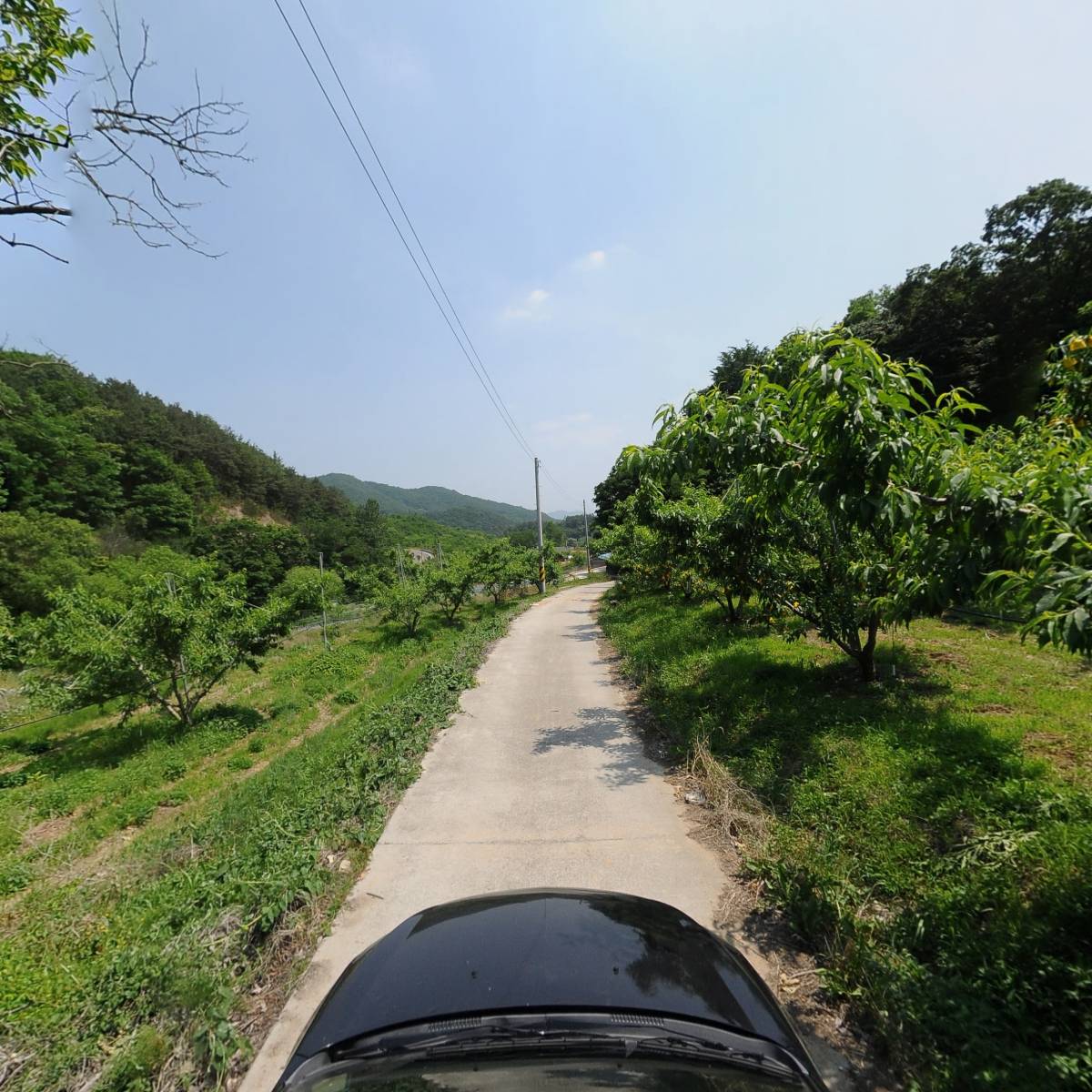 수정자연농원_4