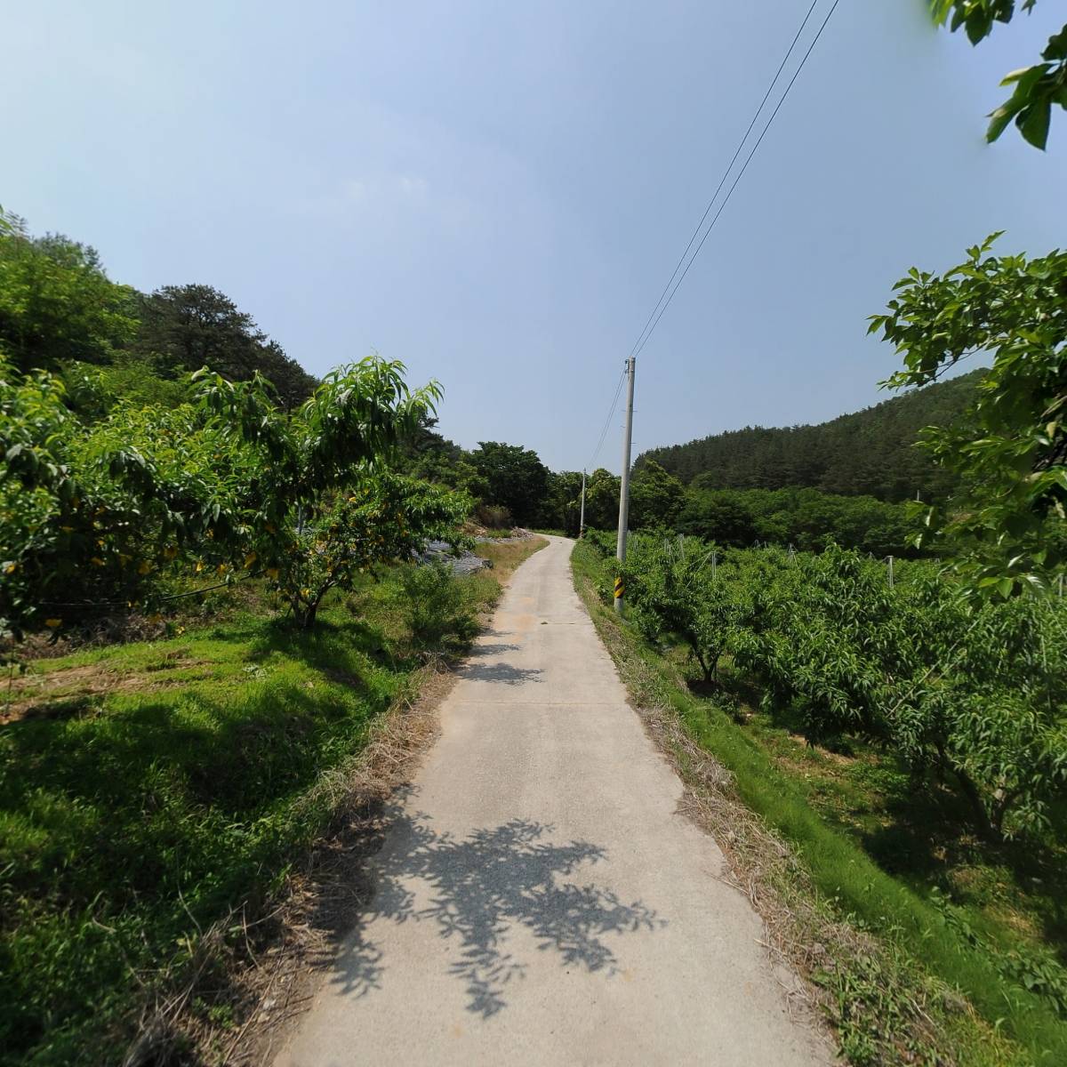 수정자연농원_2